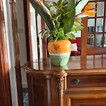 Casa Nanda Hébergement de vacances *